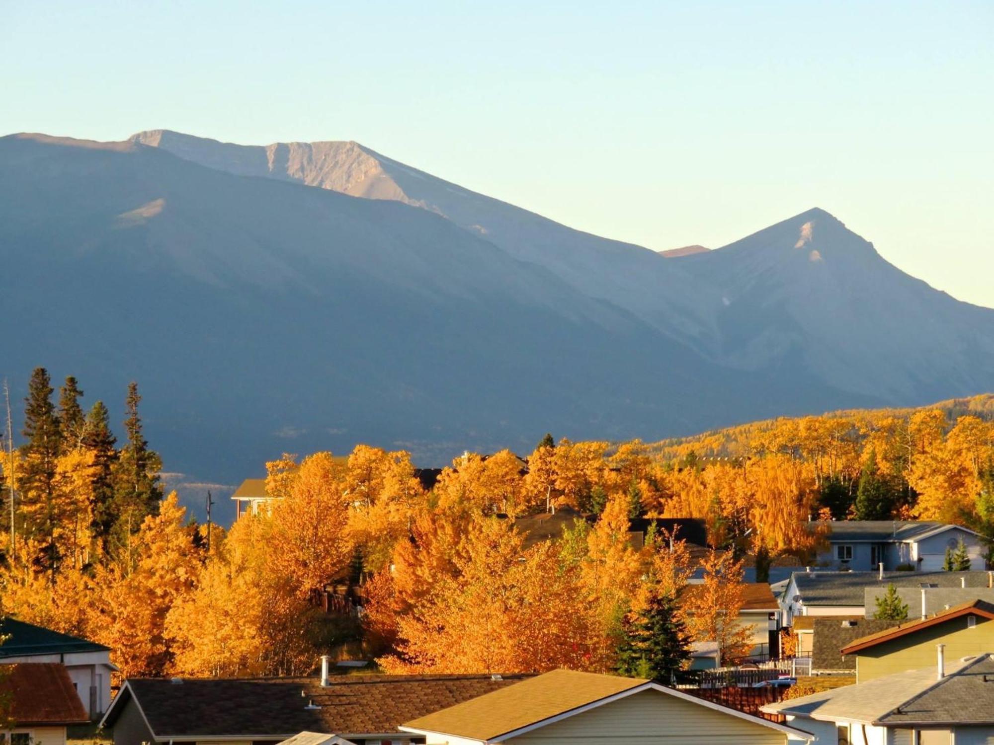 Mountain View Executive
